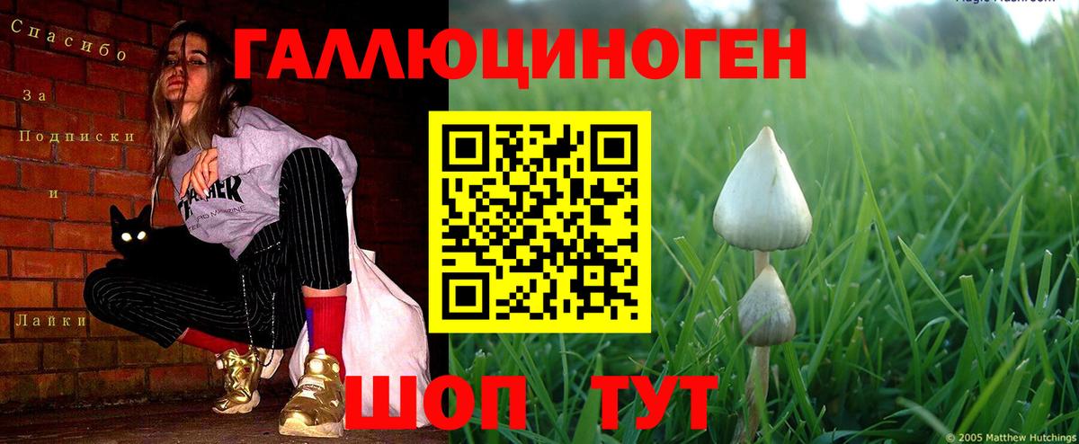 Карталы  Галлюциногенные грибы MAGIC MUSHROOMS  купить наркотик  Галлюциногенные грибы ЛСД  Вход с VPN 